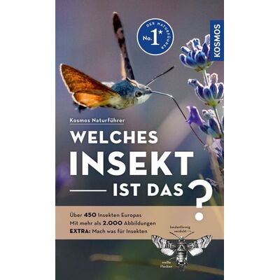 Kosmos Welches Insekt ist das? Kosmos Welches Insekt ist das?