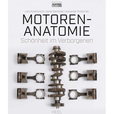 Heel Motoren-Anatomie Heel Motoren-Anatomie