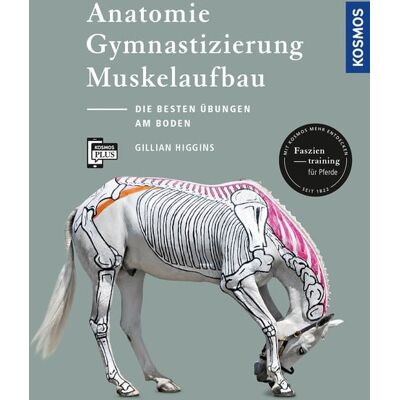 Kosmos Anatomie, Gymnastizierung, Muskelaufbau Kosmos Anatomie, Gymnastizierung, Muskelaufbau