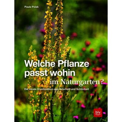Blv Welche Pflanze passt wohin im Naturgarten? Blv Welche Pflanze passt wohin im Naturgarten?