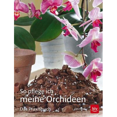 Blv So pflege ich meine Orchideen Blv So pflege ich meine Orchideen
