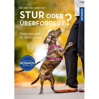 Kosmos Stur oder überfordert? Kosmos Stur oder überfordert?