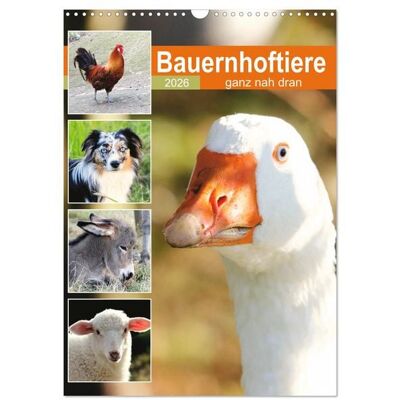 Bauernhoftiere, ganz nah dran (Wandkalender 2026 DIN A3 hoch), CALVENDO Monatskalender Bauernhoftiere, ganz nah dran (Wandkalender 2026 DIN A3 hoch), CALVENDO Monatskalender