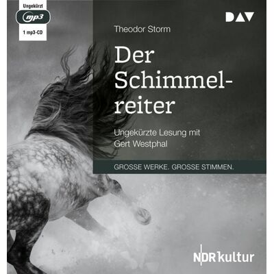 Der Audio Verlag Der Schimmelreiter Der Audio Verlag Der Schimmelreiter