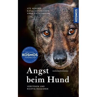 Kosmos Angst beim Hund Kosmos Angst beim Hund