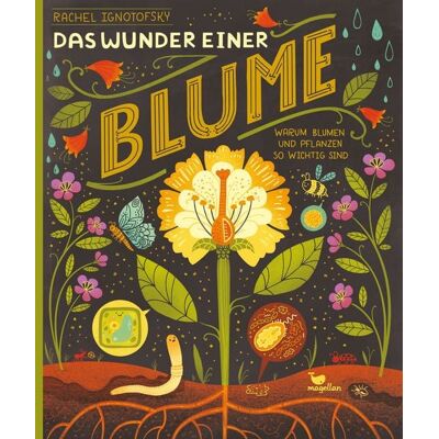 Magellan Das Wunder einer Blume - Warum Blumen und Pflanzen so wichtig sind Magellan Das Wunder einer Blume - Warum Blumen und Pflanzen so wichtig sind