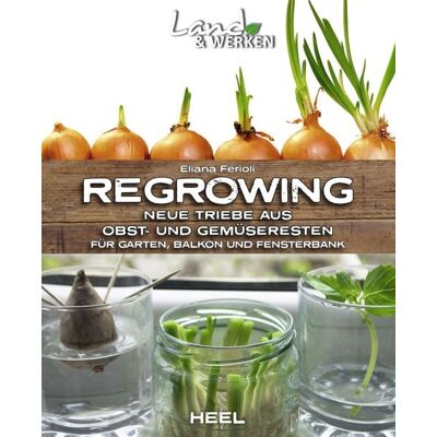 Heel Regrowing – Neue Triebe aus Obst- und Gemüseresten Heel Regrowing – Neue Triebe aus Obst- und Gemüseresten