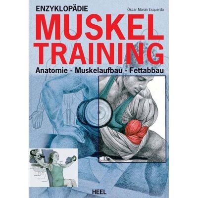 Heel Enzyklopädie Muskeltraining Heel Enzyklopädie Muskeltraining