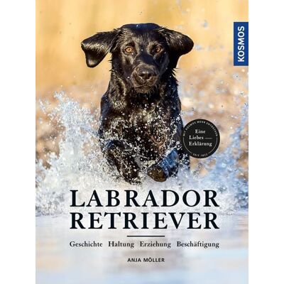 Kosmos Labrador Retriever Kosmos Labrador Retriever
