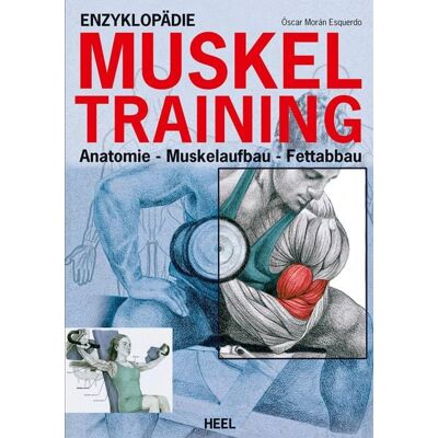 Heel Enzyklopädie Muskeltraining Heel Enzyklopädie Muskeltraining