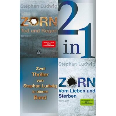 Fischer E-Books Tod und Regen / Vom Lieben und Sterben - Zwei Zorn-Thriller in einem Band Fischer E-Books Tod und Regen / Vom Lieben und Sterben - Zwei Zorn-Thriller in einem Band