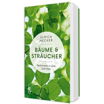 Blv Bäume und Sträucher Blv Bäume und Sträucher