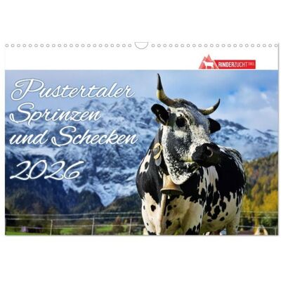 Pustertaler Sprinzen und Schecken 2026 (Wandkalender 2026 DIN A3 quer), CALVENDO Monatskalender Pustertaler Sprinzen und Schecken 2026 (Wandkalender 2026 DIN A3 quer), CALVENDO Monatskalender
