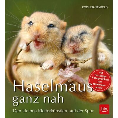 Blv Haselmaus ganz nah Blv Haselmaus ganz nah