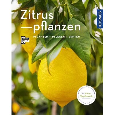 Kosmos Zitruspflanzen (Mein Garten) Kosmos Zitruspflanzen (Mein Garten)