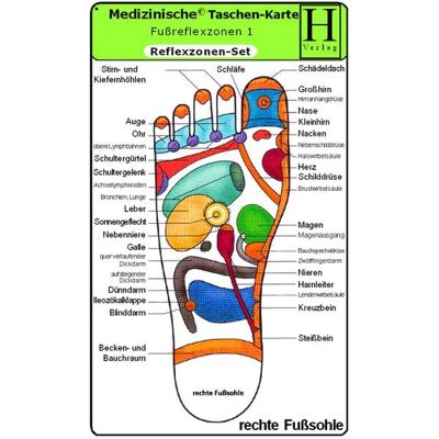 Hawelka, Uwe Reflexzonen Set - Medizinische Taschen-Karte Hawelka, Uwe Reflexzonen Set - Medizinische Taschen-Karte