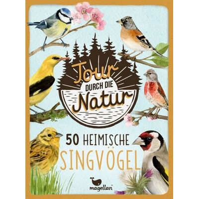 Magellan Modell - Heimische Singvögel - Bestimmungskarten für Kinder - Buch & Karten - Naturerkundung Magellan Modell - Heimische Singvögel - Bestimmungskarten für Kinder - Buch & Karten - Naturerkundung