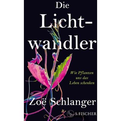 Fischer E-Books Die Lichtwandler Fischer E-Books Die Lichtwandler