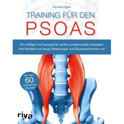 Riva Training für den Psoas Riva Training für den Psoas