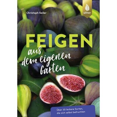 Verlag Eugen Ulmer Feigen aus dem eigenen Garten Verlag Eugen Ulmer Feigen aus dem eigenen Garten