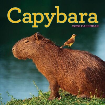 Workman Capybara Wall Calendar 2026 Workman Capybara Wall Calendar 2026