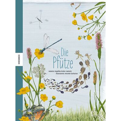 Knesebeck Die Pfütze Knesebeck Die Pfütze