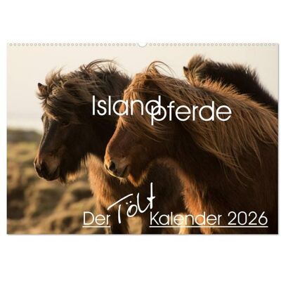 Islandpferde - Der Tölt Kalender (Wandkalender 2026 DIN A2 quer), CALVENDO Monatskalender Islandpferde - Der Tölt Kalender (Wandkalender 2026 DIN A2 quer), CALVENDO Monatskalender