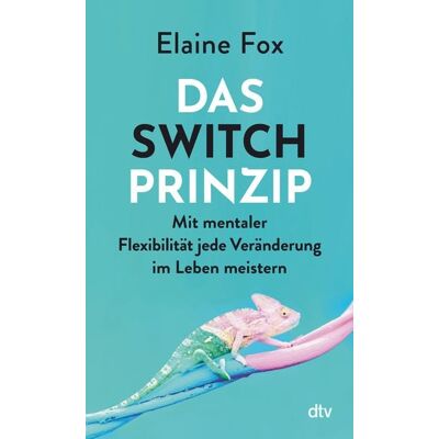 dtv Das Switch-Prinzip dtv Das Switch-Prinzip