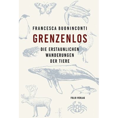 Folio Grenzenlos Folio Grenzenlos