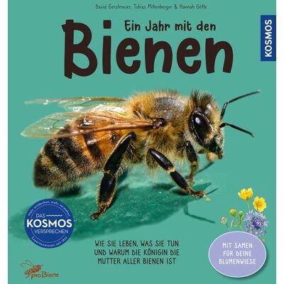 Kosmos Ein Jahr mit den Bienen Kosmos Ein Jahr mit den Bienen