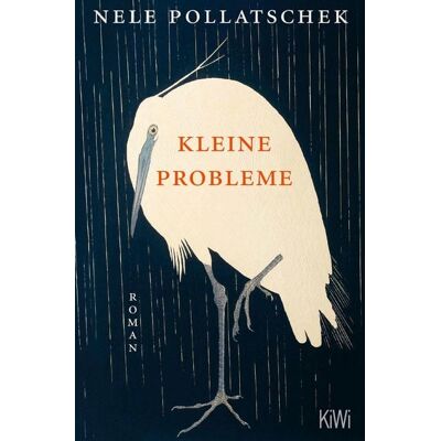 KiWi eBooks Kleine Probleme KiWi eBooks Kleine Probleme