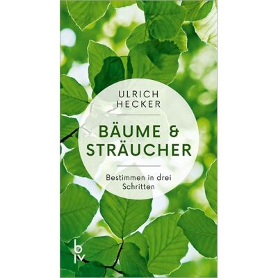 Blv Bäume und Sträucher Blv Bäume und Sträucher