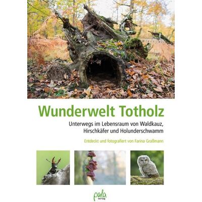 Pala Wunderwelt Totholz Pala Wunderwelt Totholz