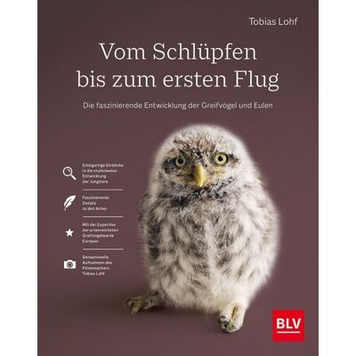 Blv Vom Schlüpfen bis zum ersten Flug Blv Vom Schlüpfen bis zum ersten Flug