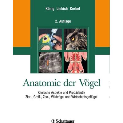 Schattauer Anatomie der Vögel Schattauer Anatomie der Vögel