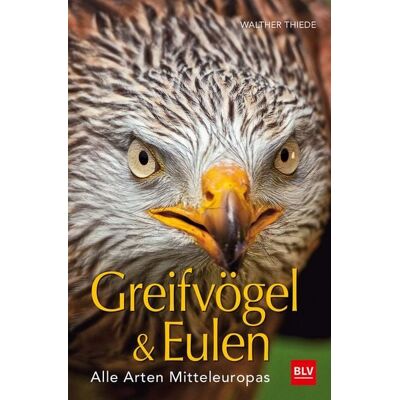 BLV Greifvögel & Eulen BLV Greifvögel & Eulen