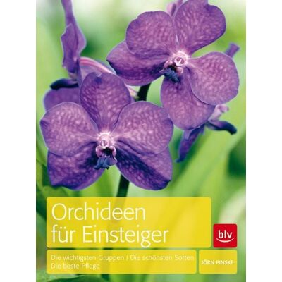 Blv Orchideen für Einsteiger Blv Orchideen für Einsteiger