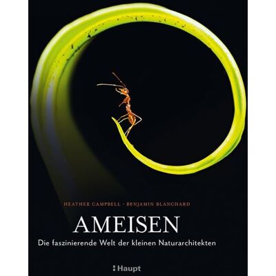 Haupt Verlag Ameisen Haupt Verlag Ameisen