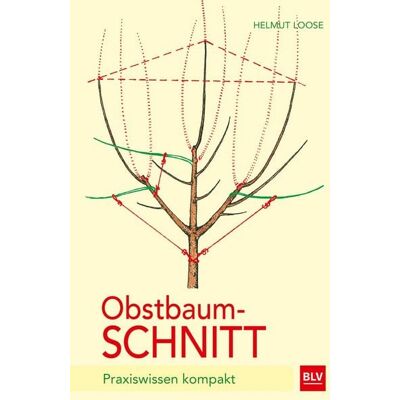 Blv Obstbaumschnitt Blv Obstbaumschnitt