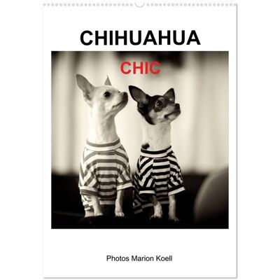 CHIHUAHUA CHIC Photos Marion Koell (Wandkalender 2026 DIN A2 hoch), CALVENDO Monatskalender CHIHUAHUA CHIC Photos Marion Koell (Wandkalender 2026 DIN A2 hoch), CALVENDO Monatskalender