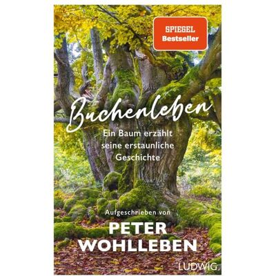 Ludwig Buchenleben Ludwig Buchenleben