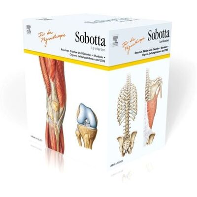 Urban & Fischer in Elsevier Sobotta Lernkarten für Physiotherapeuten Urban & Fischer in Elsevier Sobotta Lernkarten für Physiotherapeuten