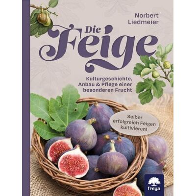 Freya Die Feige Freya Die Feige