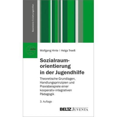 Beltz eBook Sozialraumorientierung in der Jugendhilfe Beltz eBook Sozialraumorientierung in der Jugendhilfe
