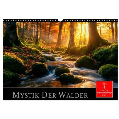 Mystik der Wälder (Wandkalender 2026 DIN A3 quer), CALVENDO Monatskalender Mystik der Wälder (Wandkalender 2026 DIN A3 quer), CALVENDO Monatskalender