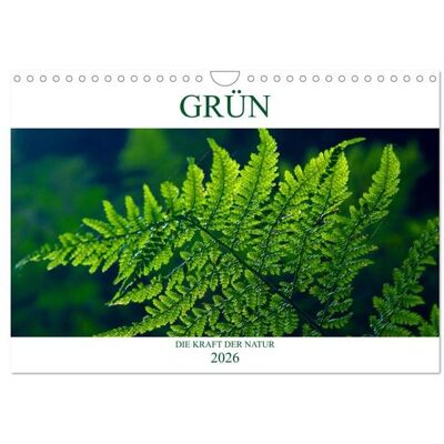 GRÜN . Die Kraft der Natur (Wandkalender 2026 DIN A4 quer), CALVENDO Monatskalender GRÜN . Die Kraft der Natur (Wandkalender 2026 DIN A4 quer), CALVENDO Monatskalender