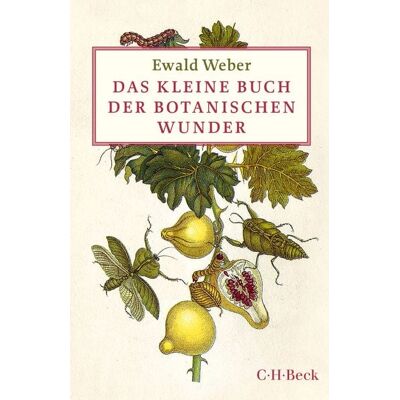 C.H. Beck Das kleine Buch der botanischen Wunder C.H. Beck Das kleine Buch der botanischen Wunder