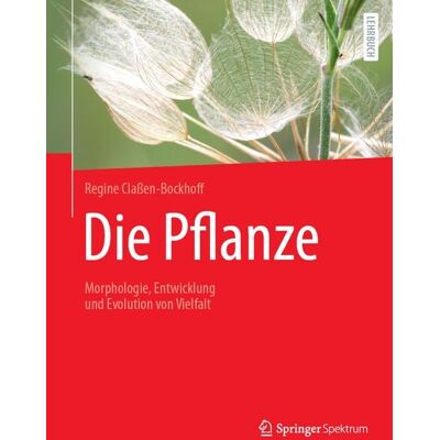 Springer Berlin Die Pflanze Springer Berlin Die Pflanze