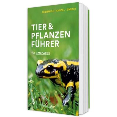 Der BLV Tier & Pflanzenführer Der BLV Tier & Pflanzenführer