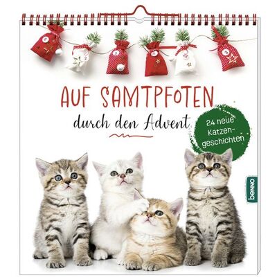 St. Benno Auf Samtpfoten durch den Advent St. Benno Auf Samtpfoten durch den Advent